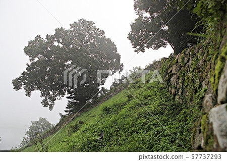 Communicability 57737293