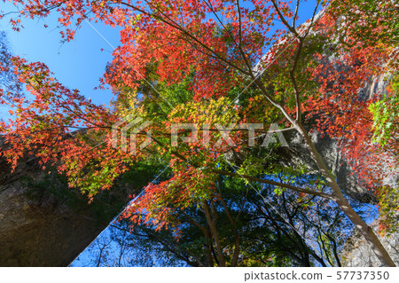 The first stone gate of Mt. Myogi and autumn leaves of Japanese maple 57737350