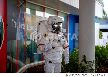 空間 宇宙的 大波斯菊 57737371
