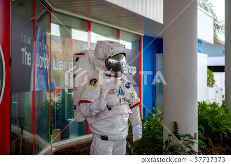 空間 宇宙的 大波斯菊 57737373