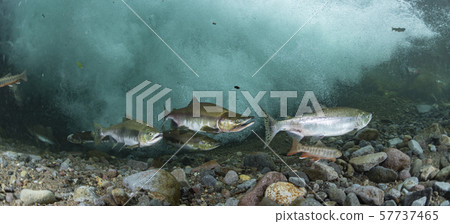 多彩的群眾 57737465