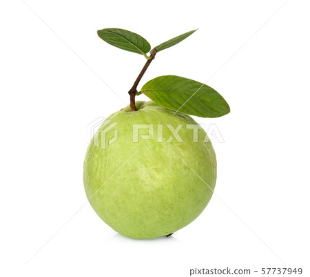 whole guava fruit with leaf isolated on white 57737949