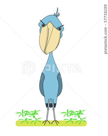 Shoebill Illustration - Stock Illustration [57738289] - PIXTA