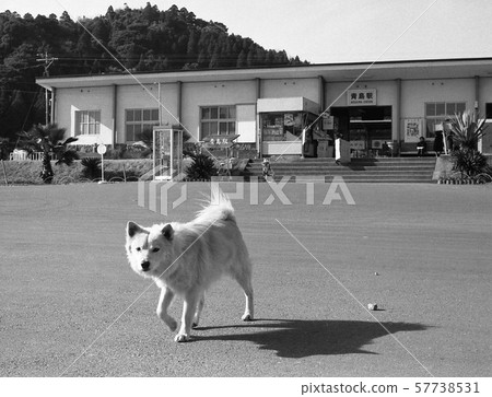 JNR era station JNR era station 57738531