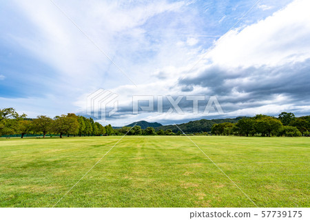 Autumn park square 57739175