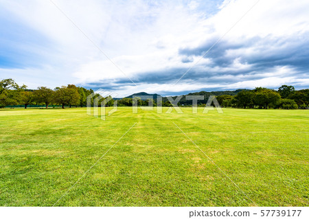 Autumn park square 57739177