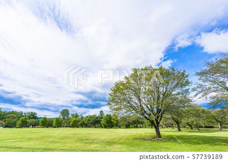 秋園廣場 57739189