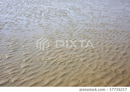 Seohae tidal flat Seohae tidal flat 57739257