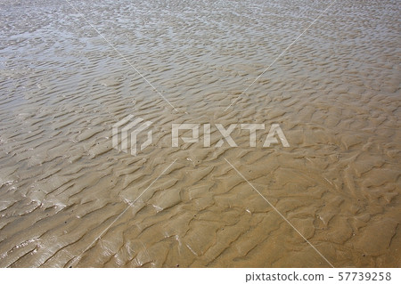 Beautiful tidal-flat Beautiful tidal-flat 57739258