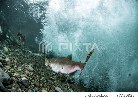 多彩的群眾 57739823