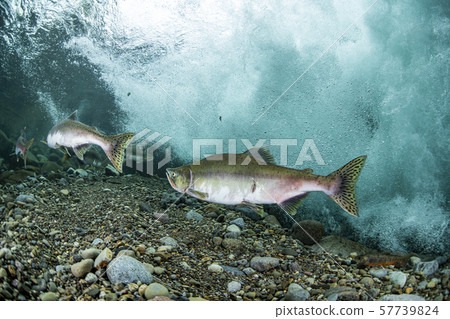 多彩的群眾 57739824