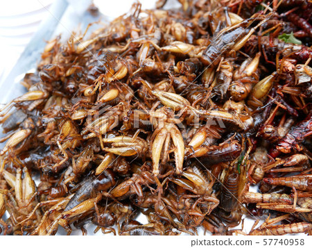 Fried insect as food. 57740958