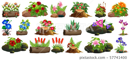 Large set of colorful flowers on rocks and wood Large set of colorful flowers on rocks and wood 57741400