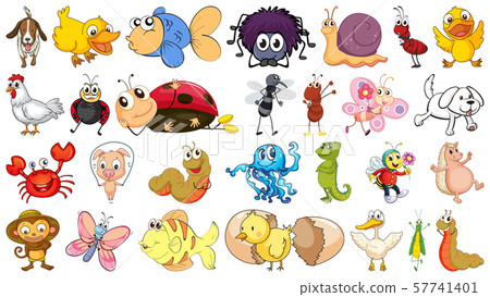 Set of different animals Set of different animals 57741401