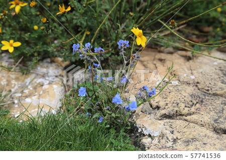 Sun Island Bolivia Sun Island Bolivia 57741536