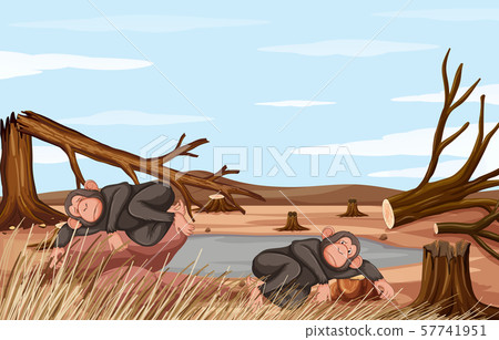 Deforestation scene with two monkeys Deforestation scene with two monkeys 57741951