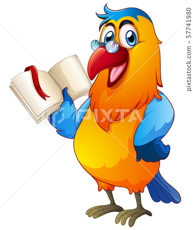 Parrot reading book on white background 57741980