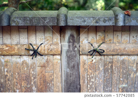 Kenzentagaki 57742085