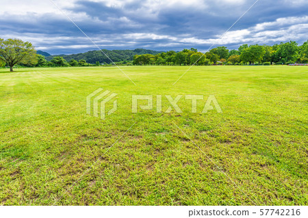 Autumn Park Square Miyagi Kawasaki Autumn Park Square Miyagi Kawasaki 57742216