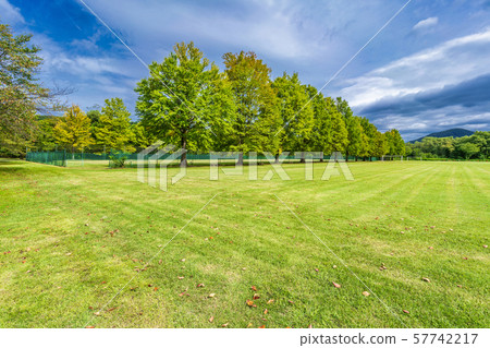 Autumn Park Square Miyagi Kawasaki 57742217