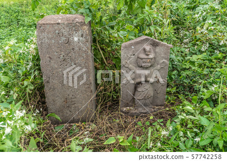 Hayagriva Hayagriva 57742258