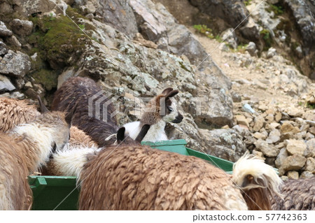 Sun Island, Lake Titicaca, Bolivia 57742363