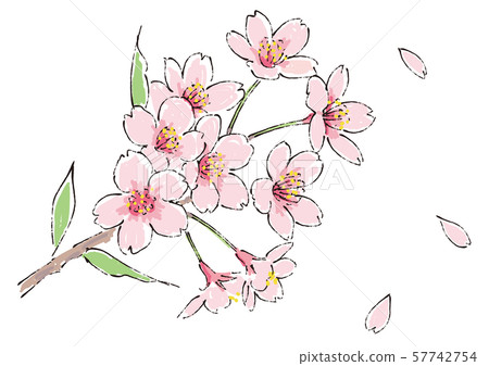 櫻花櫻桃樹第01季 57742754