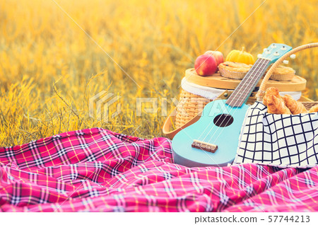 Picnic props in the autumn meadow field. Ukulele Picnic props in the autumn meadow field. Ukulele 57744213