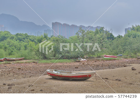 24 Aug 2019  Coastline at  Wu Kai Sha 57744239