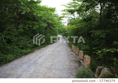 National Park, Hambaeksan, Wild Flowers 57746374