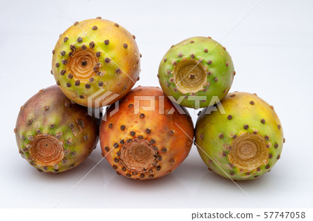 Fruits of Opuntia ficus-indica white Fruits of Opuntia ficus-indica white 57747058