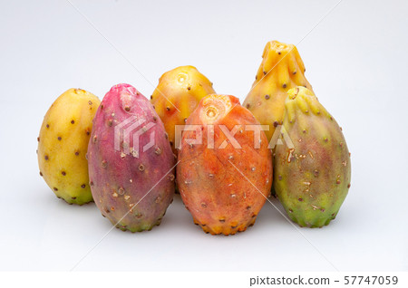 Fruits of Opuntia ficus-indica white Fruits of Opuntia ficus-indica white 57747059