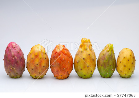 Fruits of Opuntia ficus-indica white Fruits of Opuntia ficus-indica white 57747063