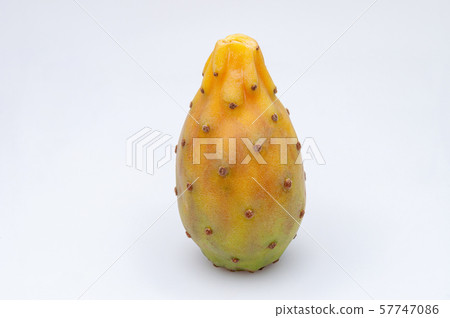 Fruits of Opuntia ficus-indica white 57747086