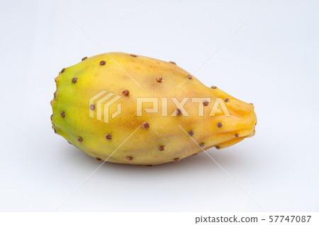 Fruits of Opuntia ficus-indica white 57747087