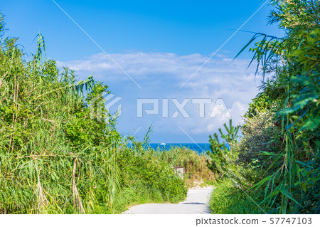 Summer view of Tsunoshima Ohama Beach [Yamaguchi] 57747103