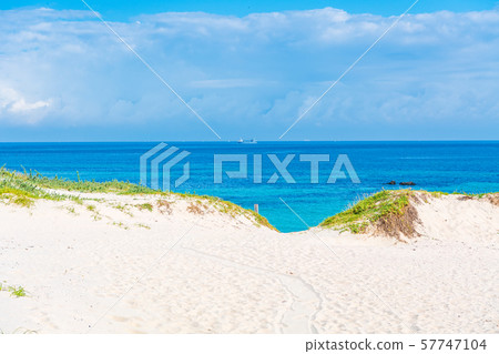 Tsunoshima Ohama Beach [山口]的夏天風景 57747104