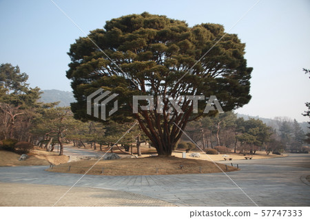 Chungnam, Hyunchungwon, Chungmuong 57747333