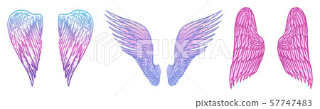 Set of Angel wings in vintage style. Template for tattoo and emblems, t-shirts and logo. Colorful Set of Angel wings in vintage style. Template for tattoo and emblems, t-shirts and logo. Colorful 57747483
