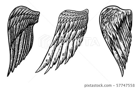 Set of Angel wings in vintage style. Template for tattoo and emblems, t-shirts and logo. Emblem for Set of Angel wings in vintage style. Template for tattoo and emblems, t-shirts and logo. Emblem for 57747558