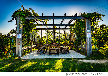 Glanz, Austria Border between Austria and Slovenia, scenery vineyard along the south Styrian vine Glanz, Austria Border between Austria and Slovenia, scenery vineyard along the south Styrian vine 57747712