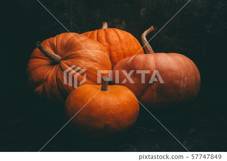 Photo of four orange pumpkins on black background, halloween celebration, space for inscription. 57747849