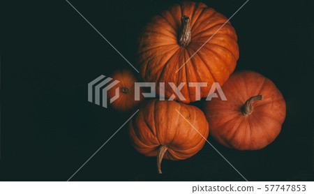 Photo from above of four orange pumpkins on black background, halloween celebration Photo from above of four orange pumpkins on black background, halloween celebration 57747853