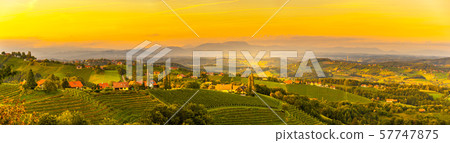 Landscape panorama of vineyard on an Austrian countryside with Graz in background in Leibnitz 57747875