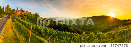 Landscape panorama of vineyard on an Austrian countryside with a church in the background in Kitzeck Landscape panorama of vineyard on an Austrian countryside with a church in the background in Kitzeck 57747878