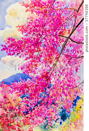 Watercolor painting landscape of cherry flowers. Watercolor painting landscape of cherry flowers. 57748166