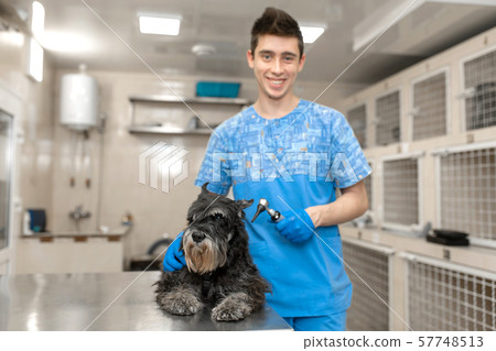 Portrait of young veterinarian technician in Portrait of young veterinarian technician in 57748513