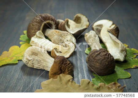 Freshly harvested woodland mushrooms 57748568