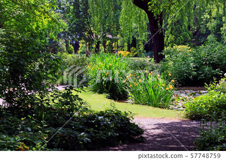 A garden A garden 57748759
