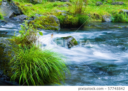 （靜岡縣藤宮市）清除 57748842